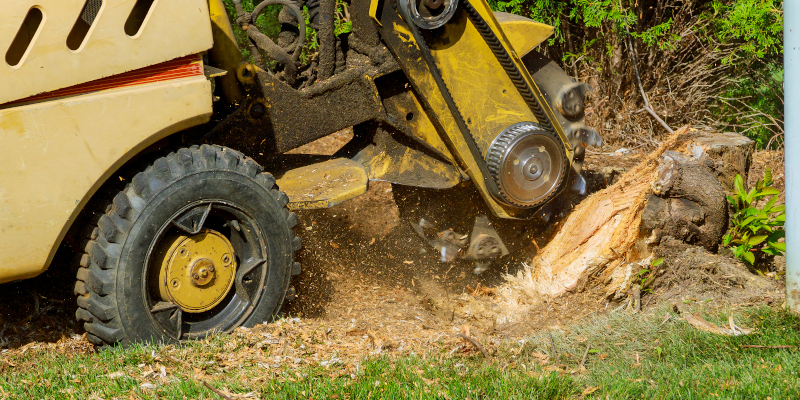 Brush Removal in Putnam County, Georgia