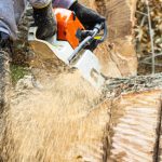Tree Removal in Putnam County, Georgia